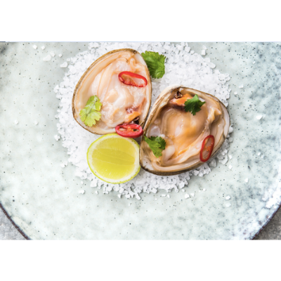 flat lay of cloudy bay clams tua tuas