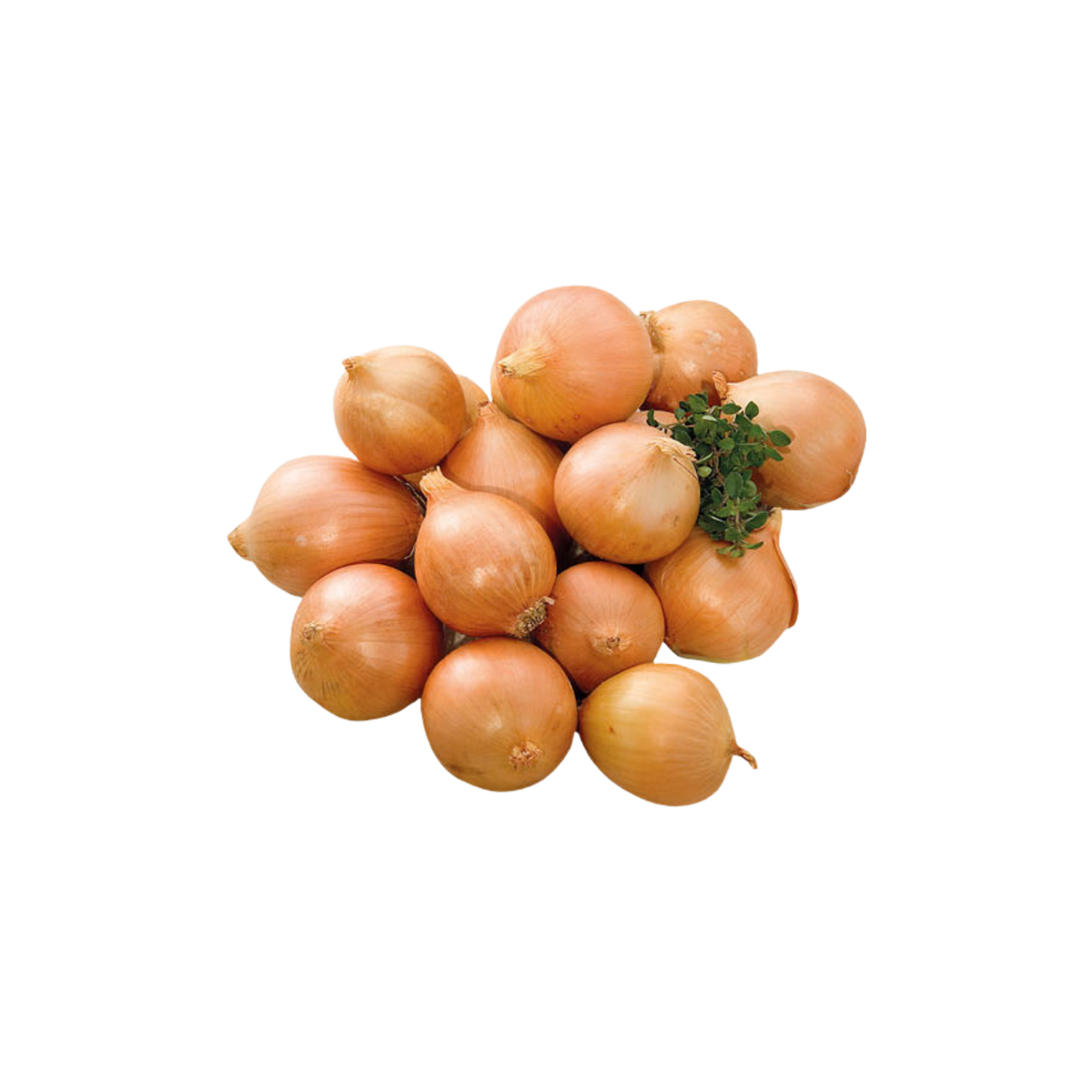 洋蔥 (500g）