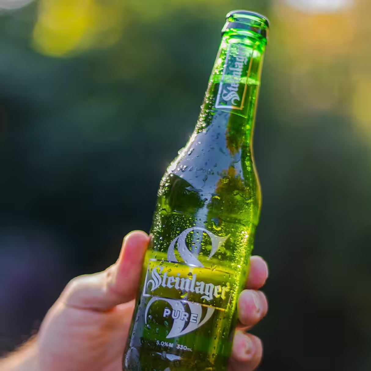 Steinlager 純Lager啤酒（﻿酒精度 5.0%, 330ml）